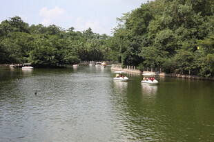 湖畔游船尽享自然之美