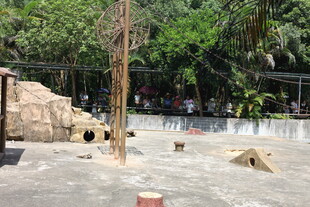 动物园内的动物栖息场地