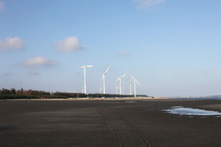 海边风力发电机组景观