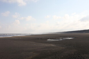 海边空旷沙滩风景图