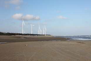 海边风力发电机组景观