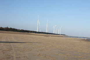 海边沙地的风力发电机组