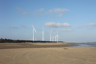 海边风力发电机组景观