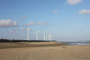 海边风力发电机组景观