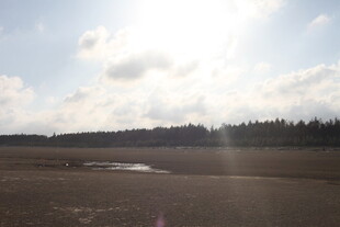 开阔原野上的阳光与云朵