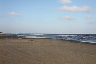 宁静沙滩与辽阔海洋景观