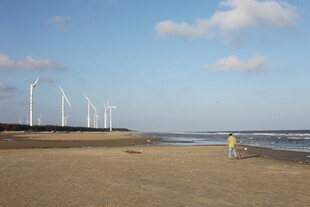 海边沙滩上的风力发电机组