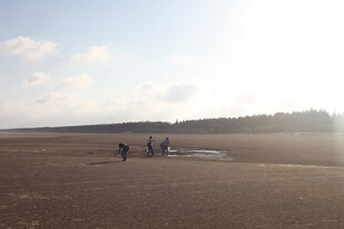 海滩漫步的悠闲身影