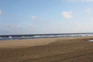 宁静沙滩与海浪景观