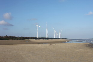 海边风力发电机组景观