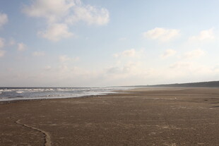 宁静海边沙滩风景