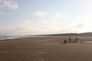 海边漫步的悠闲身影