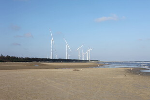 海边风力发电场美丽景致