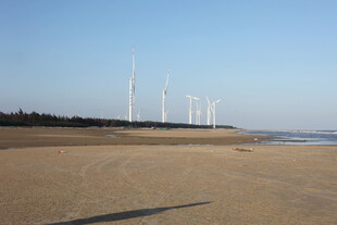 海边沙滩上的风力发电机组