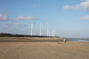 海边沙滩上的风力发电机组