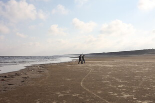 海边漫步的两人