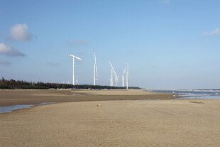 海边风力发电机组景观