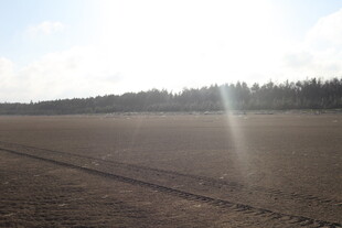 广阔田野与远处树林美景