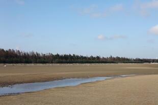 空旷原野中的蜿蜒小河