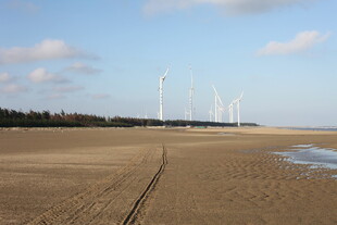 海边沙滩与远处风力发电机