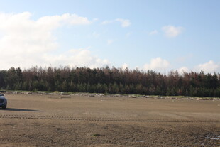 空旷原野上的孤独车辆