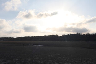 夕阳下的开阔田野风光