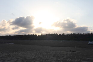 日落时分的开阔田野景象