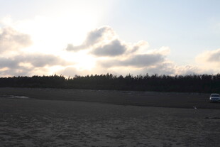 夕阳下的开阔田野景色