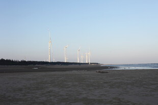 海边风力发电机组景观