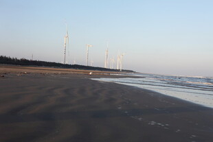 黄昏下的宁静海滩风光