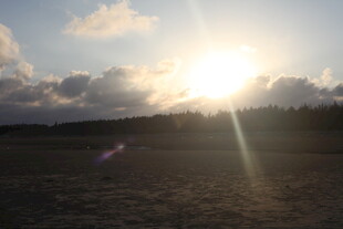 夕阳下的开阔原野美景