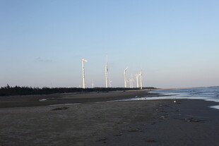 海边风力发电机组景观