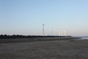 海边风力发电机组景观