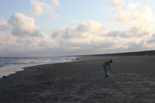 黄昏下的静谧海滩漫步