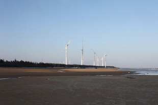 海边风力发电机组景观