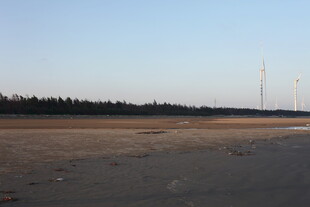 空旷郊野中的风力发电设施