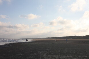 海边漫步的惬意时光