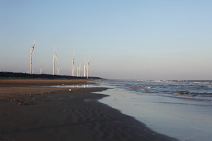 海边日落时的风车海岸线