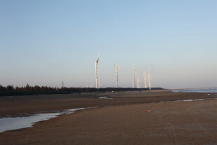 海边风力发电场景观