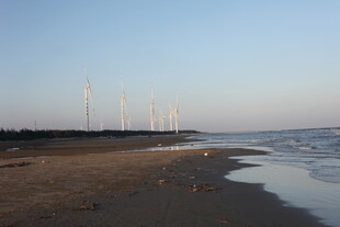 海边风车与宁静沙滩