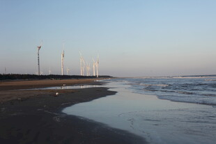 海边风光与远处风力发电机