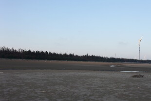 空旷场地与远处设施