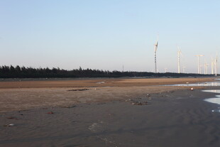 海边空旷地与远处风力发电机