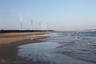 海边风力发电机组景观