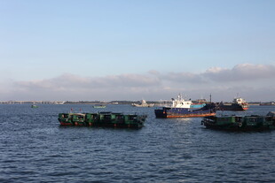 海上船只与浮排景观