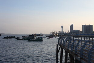 海滨码头船只城市景观