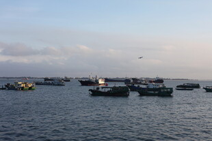 海上停泊的众多船只