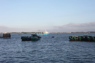 海上船只与码头景象