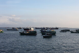 海上船只停泊景象