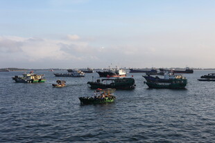 海上渔船群集景象